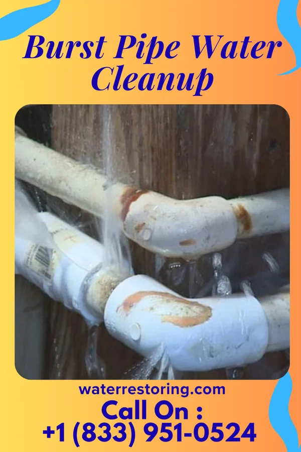 Burst Pipe Water Cleanup in Humboldt, IL