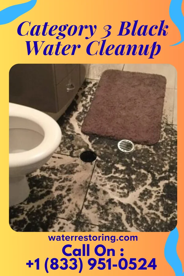 Category 3 Black Water Cleanup in Humboldt, IL