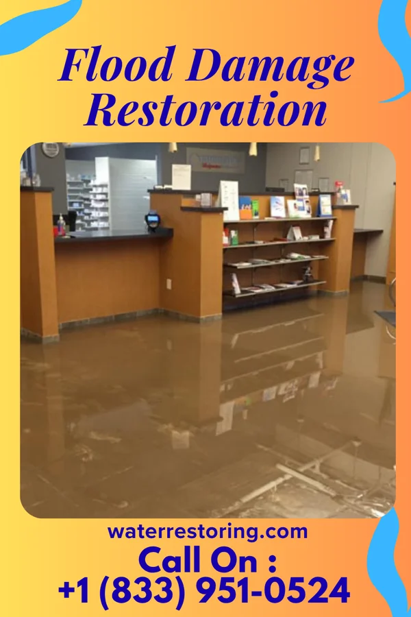 Flood Damage Restoration in Humboldt, IL
